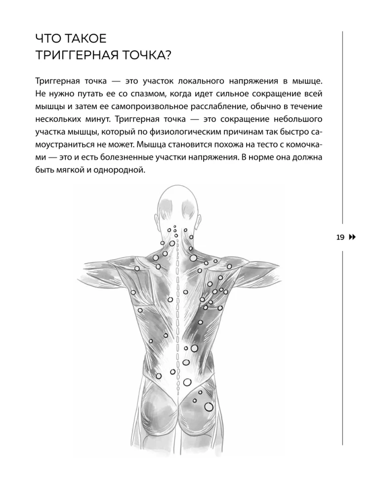 Get rid of trigger points. Ready-made exercise programs for eliminating pain in the spine, joints, and muscles.